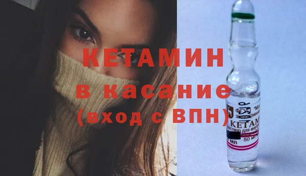 прущие грибы Аркадак