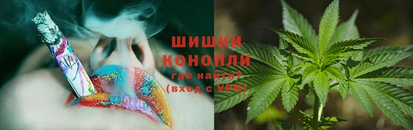 гидра Армянск
