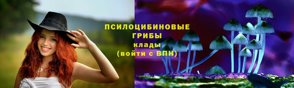 гидра Армянск