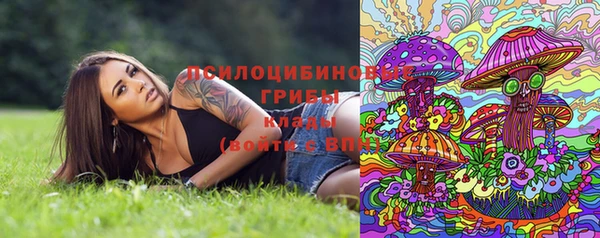 прущие грибы Аркадак