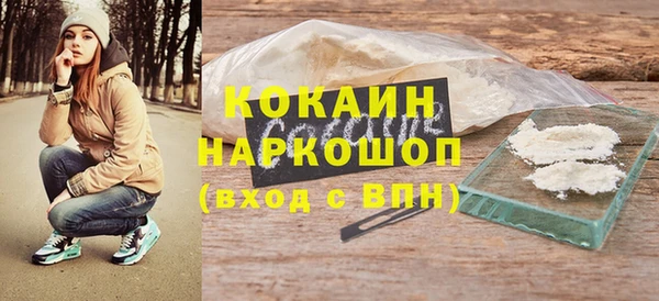 хмурый Алексин