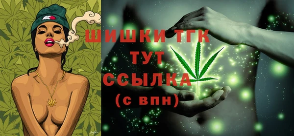 прущие грибы Аркадак