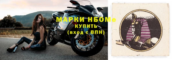 прущие грибы Аркадак
